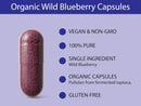koyah-organic-wild-blueberry-capsules-freeze-dried-4.jpg