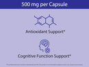 koyah-organic-wild-blueberry-capsules-freeze-dried-6.jpg