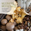 la-republica-instant-green-tea-with-reishi-chaga-l-3.jpg