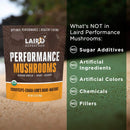 laird-superfood-organic-performance-mushroom-blend-5.jpg
