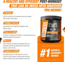 leon-sport-post-workout-recovery-powdermuscle-reco-3.jpg