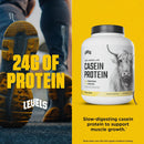 levels-100-micellar-casein-protein-hormone-free-va-4.jpg