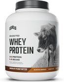 levels-grass-fed-whey-protein-powder-no-artificial-1.jpg