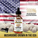 lions-mane-dual-liquid-extracttincture-organic-fru-4.jpg