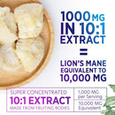 lions-mane-mushroom-supplement---brain-supplement--3.jpg