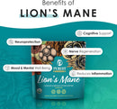 lions-mane-powder---organic-lions-mane-mushroom-ex-3.jpg