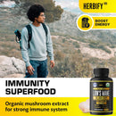 lions-mane-supplement---daily-mushroom-supplement-for-memory-focus-clarity---brain-booster---lions-mane-capsules-for-natural-immune-support---vegan-organic---120-capsules-3