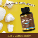 lions-mane-supplement-capsules-lion-mane-mushroom-1200mg-brain-immune-support-non-gmo-non-gluten-vegan-friendly-lions-mane-powder-120-count-pack-of-2-3