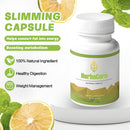 lipo-zem-capsulas-for-women-advanced-bhb-magnesium-sodium-calcium-formulas-healthcare-supplement-lypozem-natural-ingredients-60-count-2
