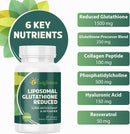 liposomal-glutathione-2000-mg10x-better-absorption-4.jpg