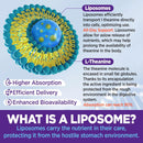 liposomal-l-theanine-gummies-for-adults-kids-l-the-3.jpg