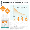 liposomal-nad-supplement-500-mg-high-absorption-boost-nad-with-tmg-250-mg-actual-nad-plus-more-efficient-than-nicotinamide-riboside-support-cellular-energy-healthy-aging-480-softgels-2