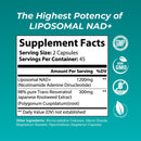 liposomal-nad-supplement-highest-rated-nad-supplements-for-women-men-with-resveratrol-and-japanese-knotweed-extract-support-stamina-metabolic-repair-vegan-gluten-free-non-gmo-90-capsule-1