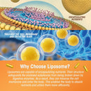 liposomal-turmeric-curcumin-supplement-with-high-p-3.jpg