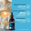 liver-cleanse-detox-repair---herbal-liver-support-milk-thistle-supplement---silymarin-milk-thistle-supplements-with-dandelion-root-chanca-piedra-turmeric-root-artichoke-extract---2-fl-oz-by-e2h-2