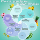 lymph-system-support-supplement-lymphatic-drainage-supplement-with-dandelion-extract-cleavers-burdock-powder-and-cleanse-lymph-hairskinnails-supplements-dietary-healthcare-60-count-6