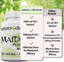 maitake-mushroom-for-immune-support---pack-of-3----6.jpg