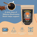 malama-organic-mushroom-hot-cacao-mix-reishi-mushr-4.jpg