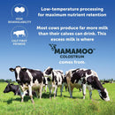 mamamoo-colostrum-powder-50-igg-grass-fed-first-no-5.jpg