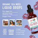 maryruth-organics-usda-irish-sea-moss-liquid-drops-8.jpg