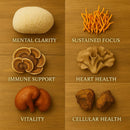me-first-living-mushroom-complex-supplement-10-in--3.jpg