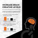 micronized-creatine-monohydrate-gaa-increase-stren-3.jpg