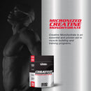 micronized-creatine-monohydrate-powder---increase--5.jpg