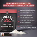 micronized-creatine-monohydrate-with-sea-salt---micronized-creatine-powder-for-training-performance-no-artificial-ingredients-90-servings-2