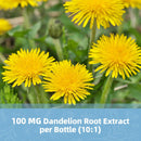 milk-thistle-supplement-capsules-liver-health-form-7.jpg