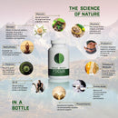 mind-body-focus-natural-nootropic-brain-supplement-for-focus-memory-and-mood-support---mental-clarity-concentration-and-cognitive-performance-with-mucuna-bacopa-rhodiola-phosphatidylcholine-3