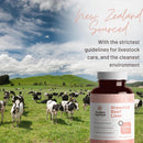 mother-nutrient-bundle-grass-fed-beef-liver-capsul-4.jpg