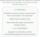 mt-capra-goat-milk-colostrum-for-healthy-immune-sy-5.jpg