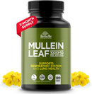 mullein-leaf-1000mg-120-capsules-lung-detox-for-sm-1.jpg