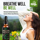 mullein-leaf-extract-for-lungs---mullein-drops-for-2.jpg