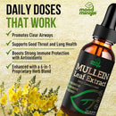 mullein-leaf-extract-for-lungs---mullein-drops-for-3.jpg
