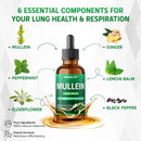 mullein-liquid-drops---peppermint-elderflower-ging-2.jpg