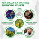 mullein-liquid-drops---peppermint-elderflower-ging-4.jpg