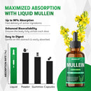 mullein-liquid-drops---peppermint-elderflower-ging-5.jpg
