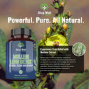 mullein-lung-detox-for-smokers-to-support-healthy--5.jpg