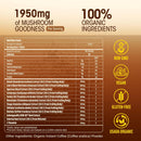 mushroom-coffee-organic-instant-coffee-powerful-9--2.jpg