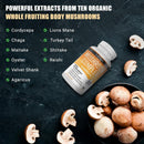 mushroom-complex-10-mushroom-blend-for-energy-and--4.jpg