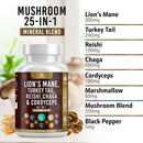 mushroom-supplement-with-lions-mane-turkey-tail-re-3.jpg
