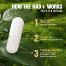 nad-supplement-900mg-liposomal-nad-nicotinamide-ri-4.jpg