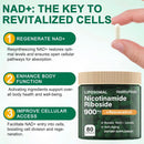 nad-supplement-900mg-liposomal-nicotinamide-ribosi-7.jpg
