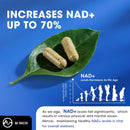 nad-supplement-liposomal-nad-supplement-with-resve-5.jpg
