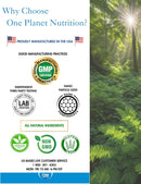 nano-curcumin-100-mg-veggie-capsules-120-servings--3.jpg
