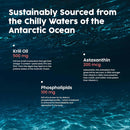 nativepath-antarctic-krill-oil---wild-caught-omega-7.jpg