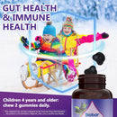 natural-black-elderberry-gummies-elderberry-fruit--6.jpg