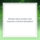 natural-factors-bromelain-500-mg-enzyme-support-fo-5.jpg
