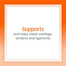 natural-factors-glucosamine-chondroitin-supports-healthy-joints-and-connective-tissue-120-capsules-4